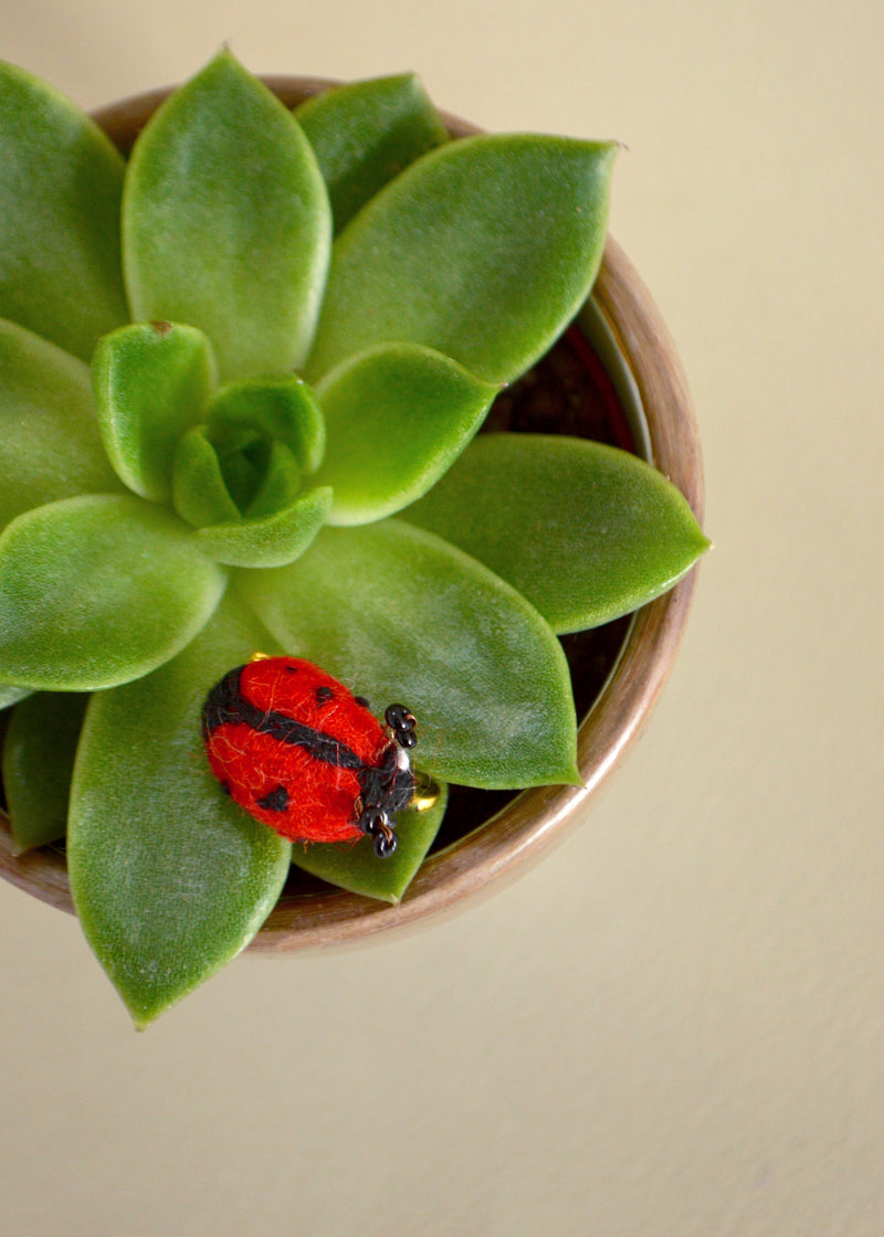 Ladybird Brooch