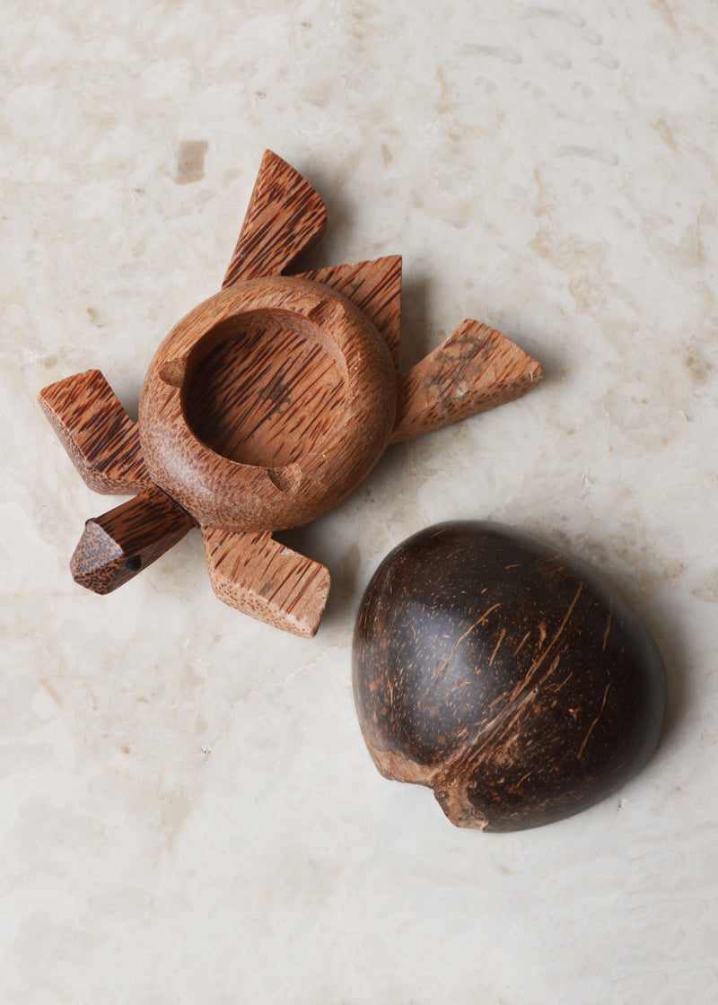 Coconut Turtle Trinket Box