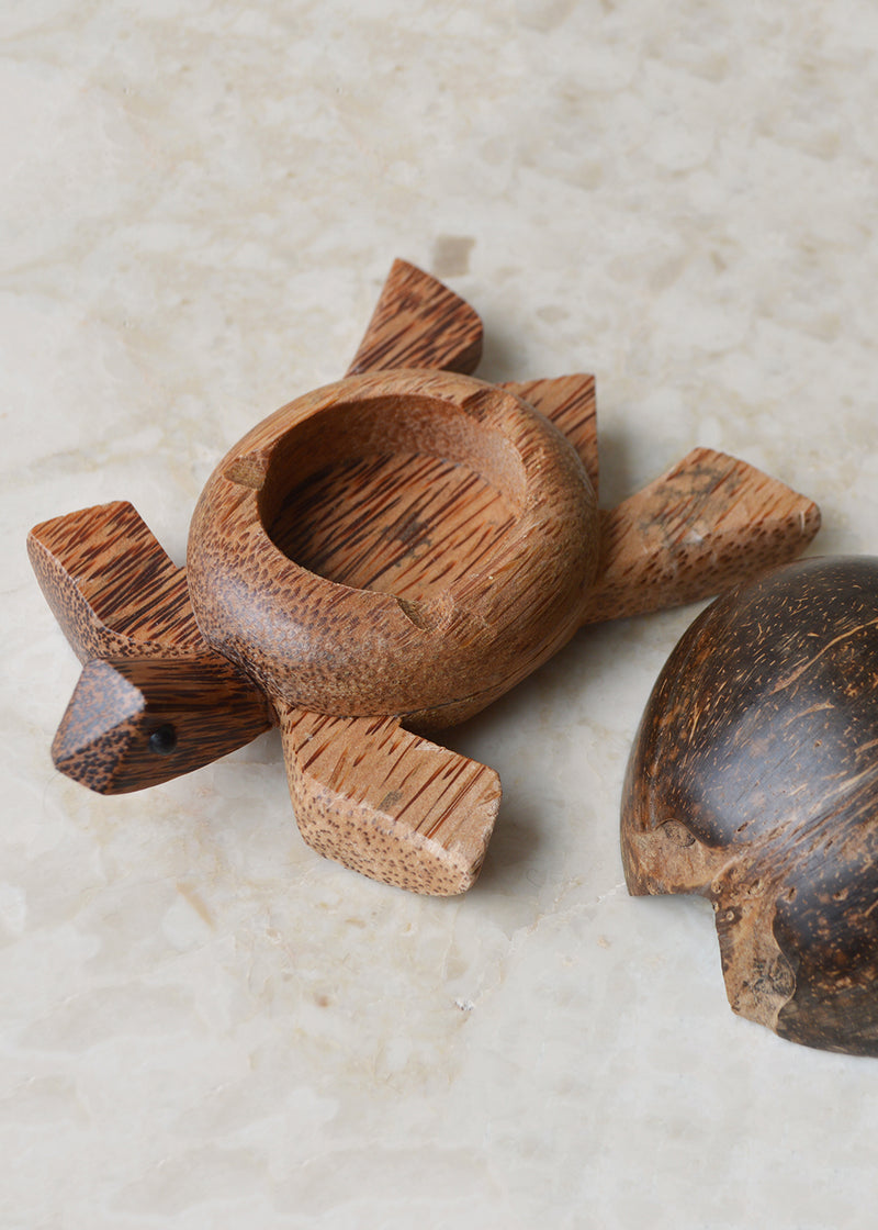 Coconut Turtle Trinket Box