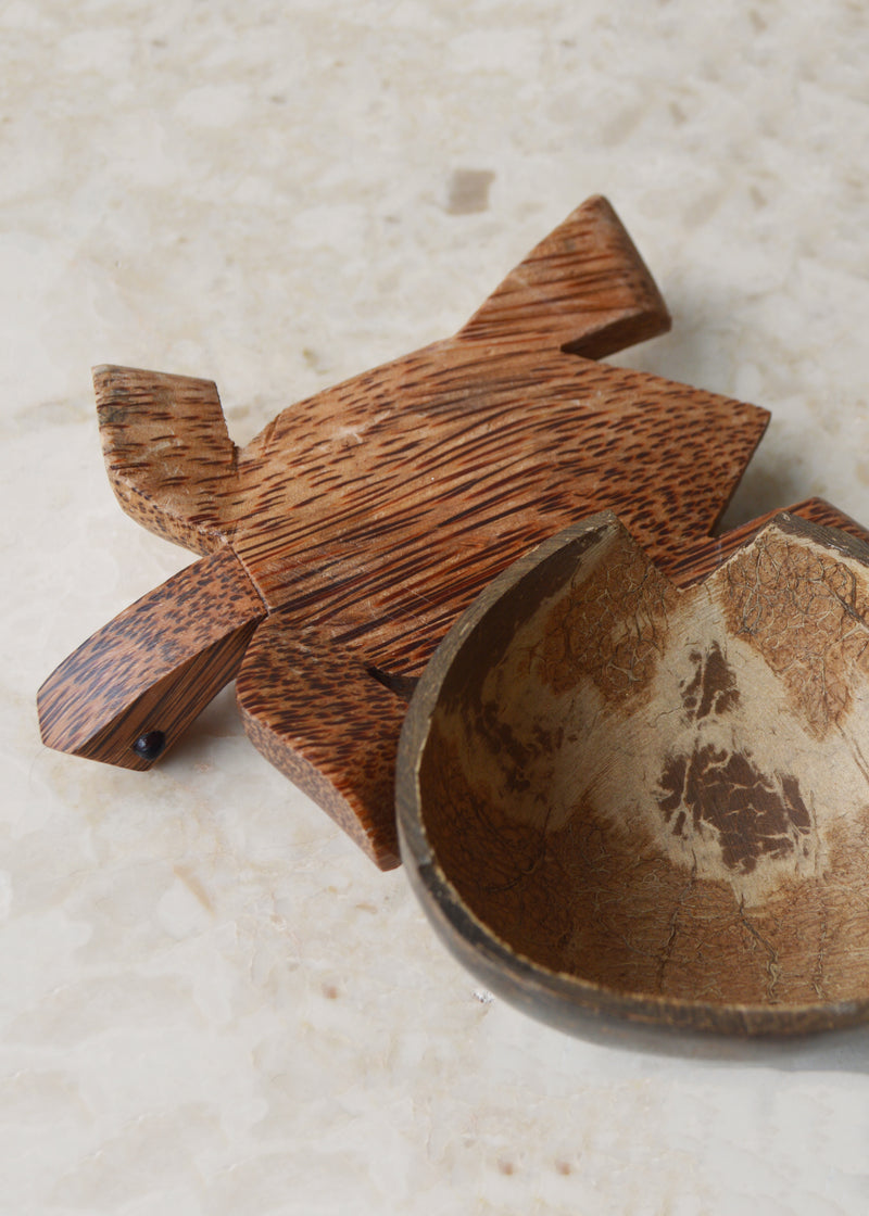 Coconut Turtle Trinket Box