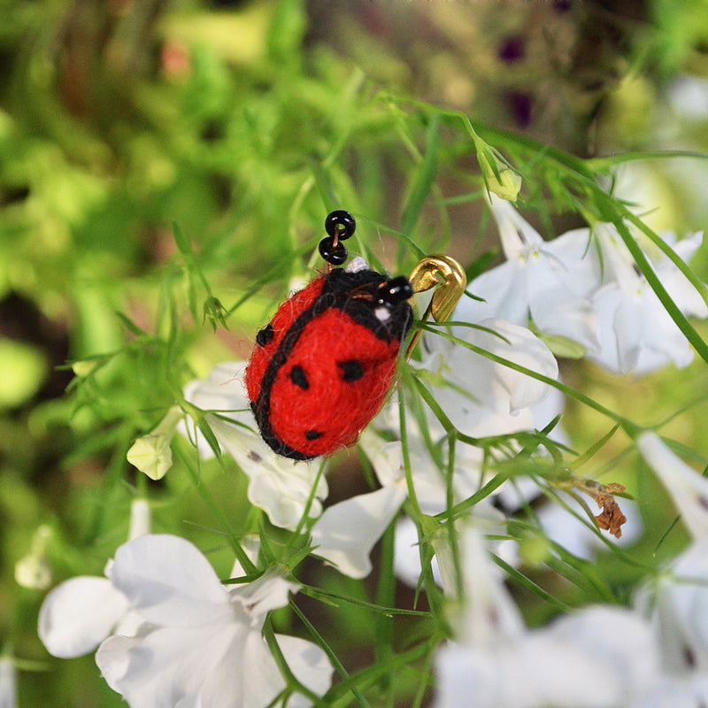 Ladybird Brooch