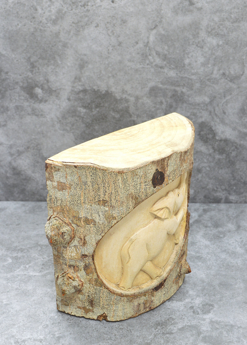Elephant in Log