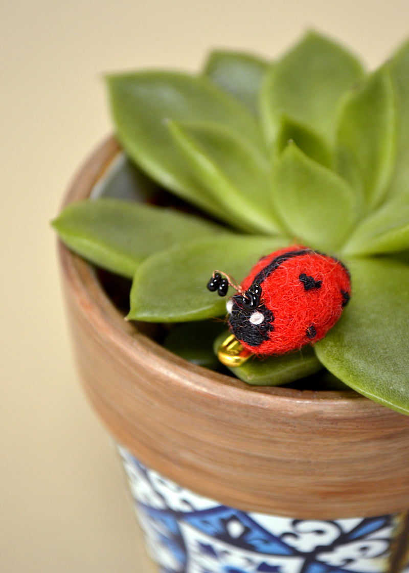 Ladybird Brooch