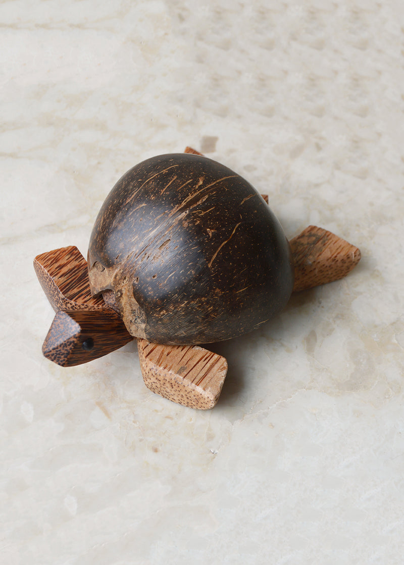Coconut Turtle Trinket Box