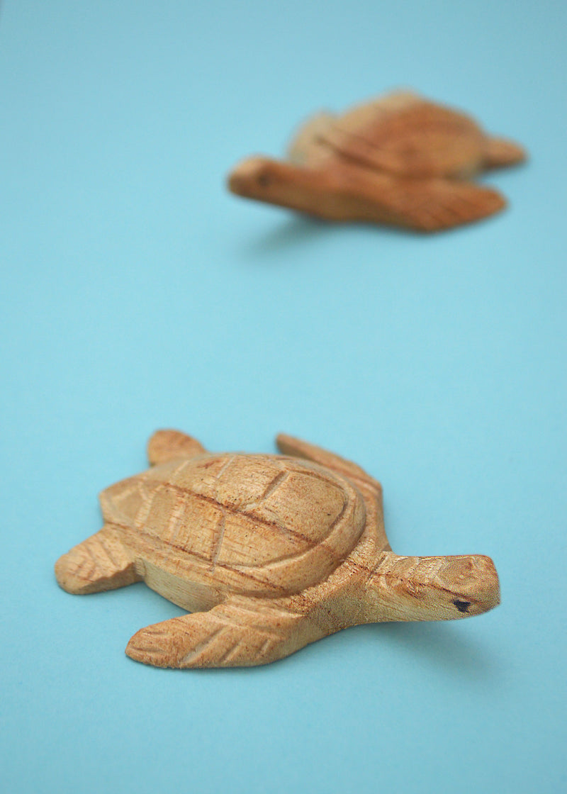 Small Wooden Turtle